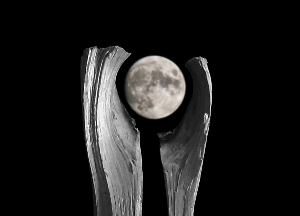 Digital mockup for abstract sculpture 'Reach,' cradling the full moon within its palms.